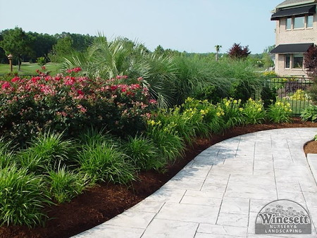 Best Plants for Virginia Beach Landscapes