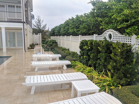 Best Privacy Shrubs for Virginia Beach Yards