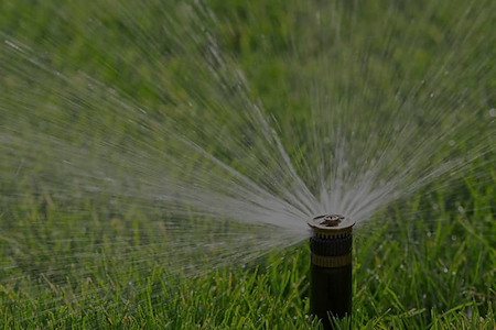 Watering New Sod in Virginia Beach: A Summer Irrigation Schedule for Sandy Soil