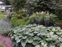 traditional-landscaping-virginia-beach-11